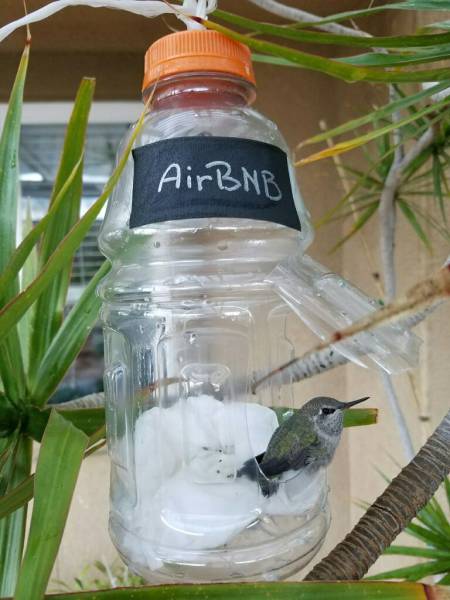 daily picdump 91 pics 29.html - 91 HD Photos | Premium Gallery 2017