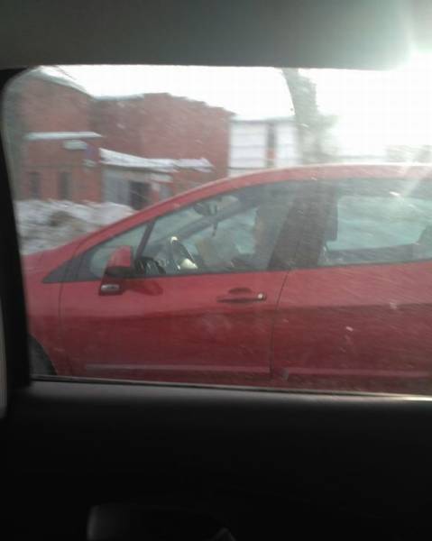 daily picdump 91 pics 29.html - 91 HD Photos | Premium Gallery 2017