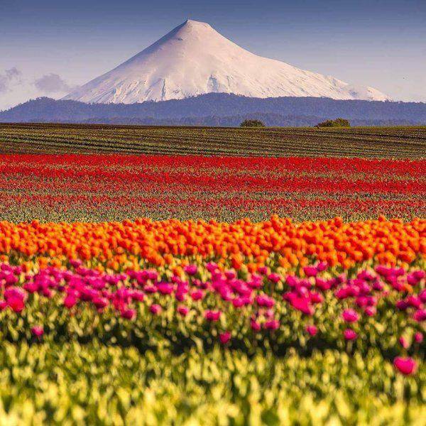 daily picdump 91 pics 29.html - 91 HD Photos | Premium Gallery 2017