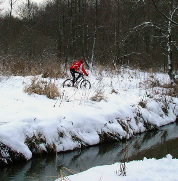 Men Is A Very Strange Species Indeed