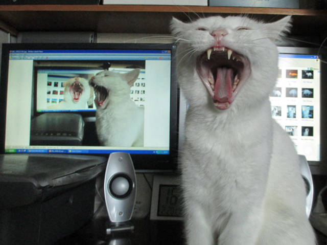 morning picdump 50 pics 9.html - 50 HD Photos | Premium Gallery 2017