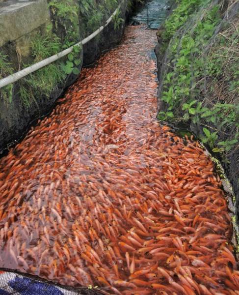 morning picdump 50 pics 9.html - 50 HD Photos | Premium Gallery 2017