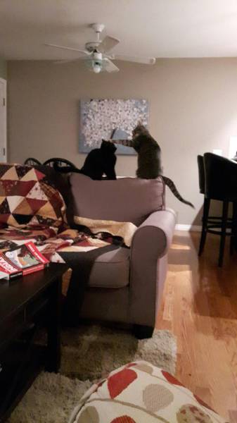 morning picdump 50 pics 9.html - 50 HD Photos | Premium Gallery 2017