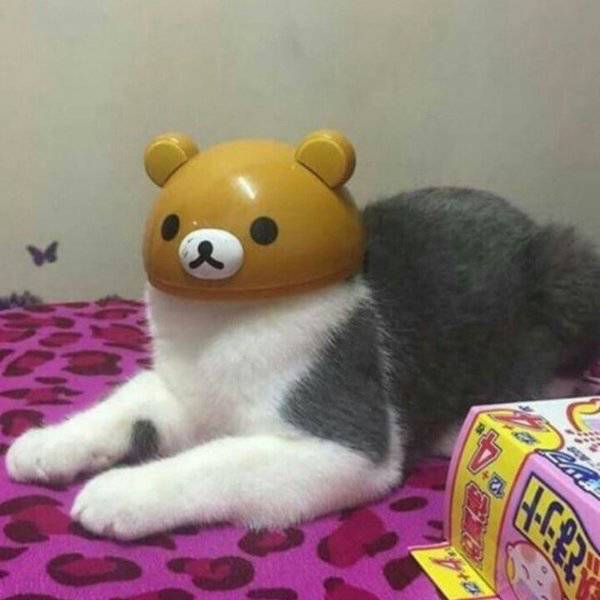 morning picdump 50 pics 9.html - 50 HD Photos | Premium Gallery 2017