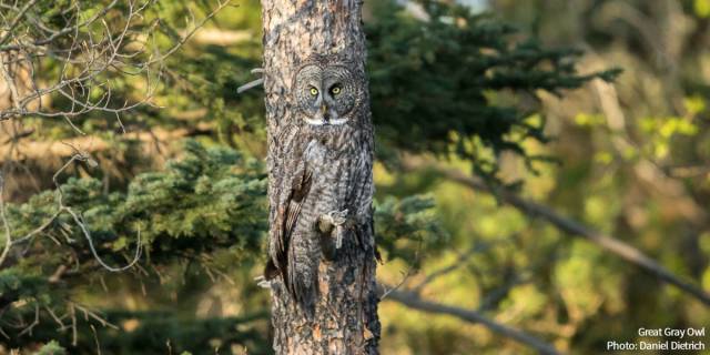 morning picdump 50 pics 9.html - 50 HD Photos | Premium Gallery 2017