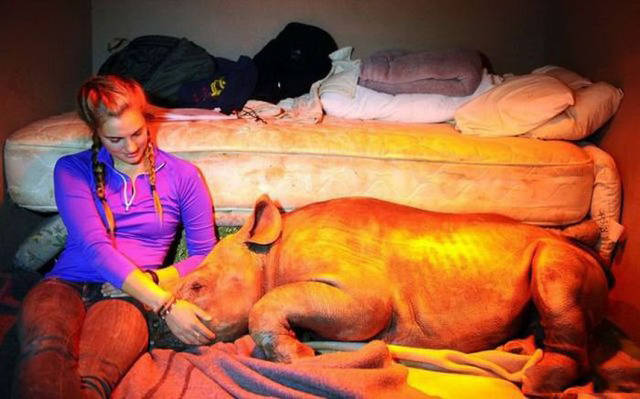 There Is So Many Different Kinds Of Girls…