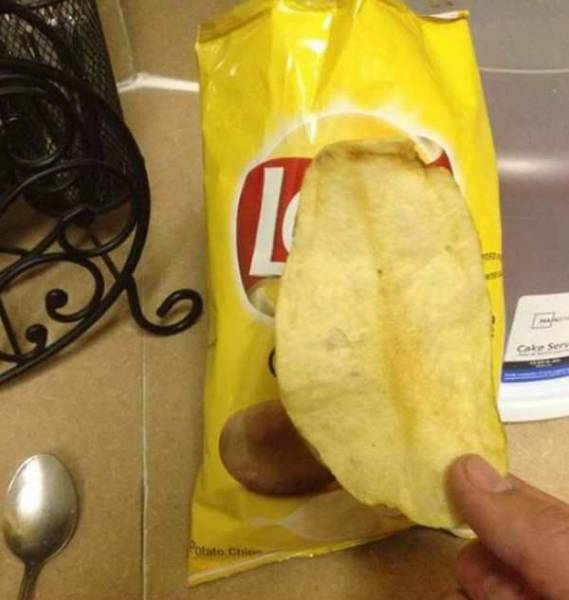 daily picdump 99 pics 46.html - 99 HD Photos | Premium Gallery 2017