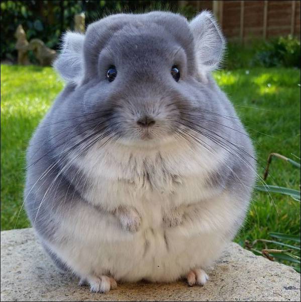 daily picdump 99 pics 46.html - 99 HD Photos | Premium Gallery 2017