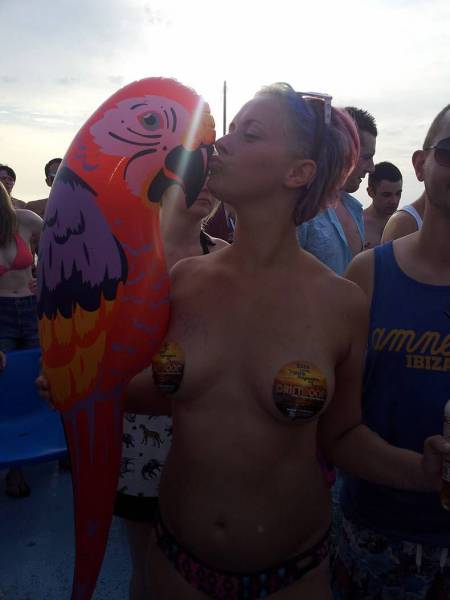 grownup corner 57 pics 14 gifs 36.html - 57 HD GIF | Premium Gallery 2017