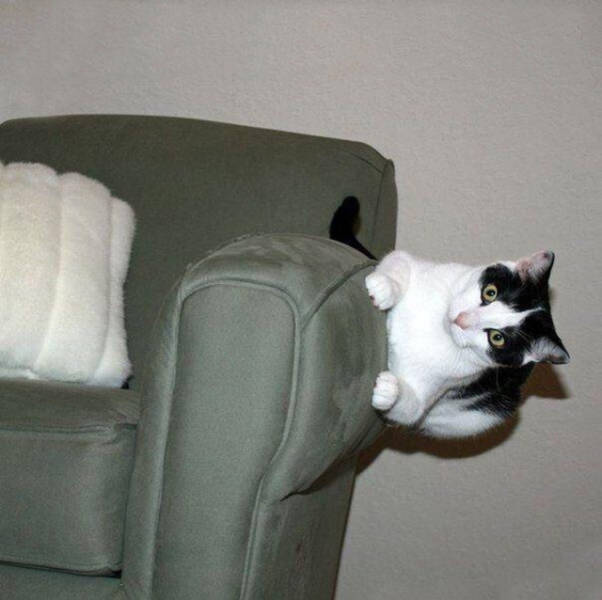 morning picdump 52 pics 18.html - 52 HD Photos | Premium Gallery 2017