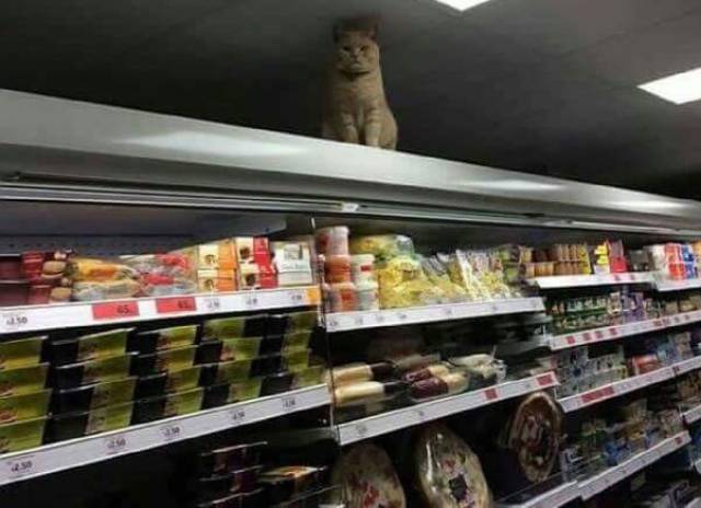 Daily Picdump [WEEKEND EDITION]