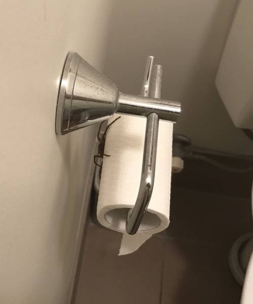 Daily Picdump [WEEKEND EDITION]