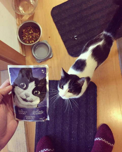 Daily Picdump [WEEKEND EDITION]