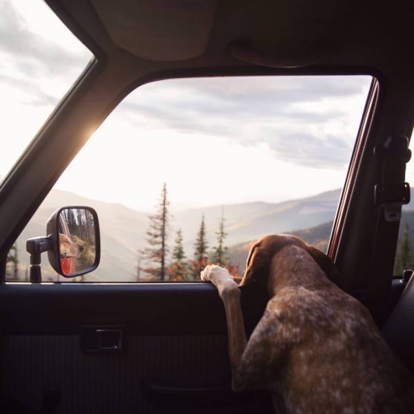 daily picdump weekend edition 50 pics 18.html - 50 HD Photos | Premium Gallery 2017