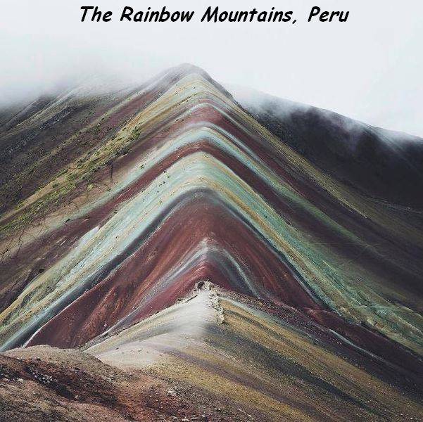 daily picdump 102 pics 49.html - 102 HD Photos | Premium Gallery 2017