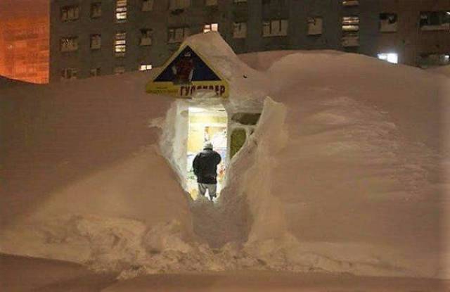 daily picdump 102 pics 49.html - 102 HD Photos | Premium Gallery 2017