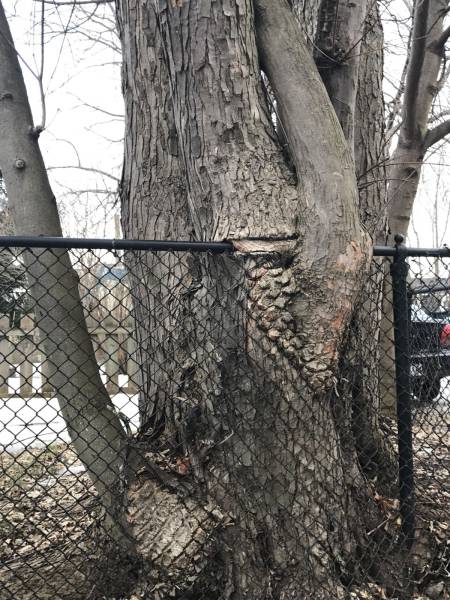 daily picdump 102 pics 49.html - 102 HD Photos | Premium Gallery 2017