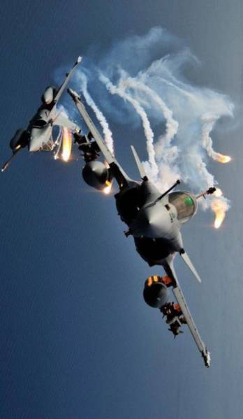 daily picdump 102 pics 49.html - 102 HD Photos | Premium Gallery 2017