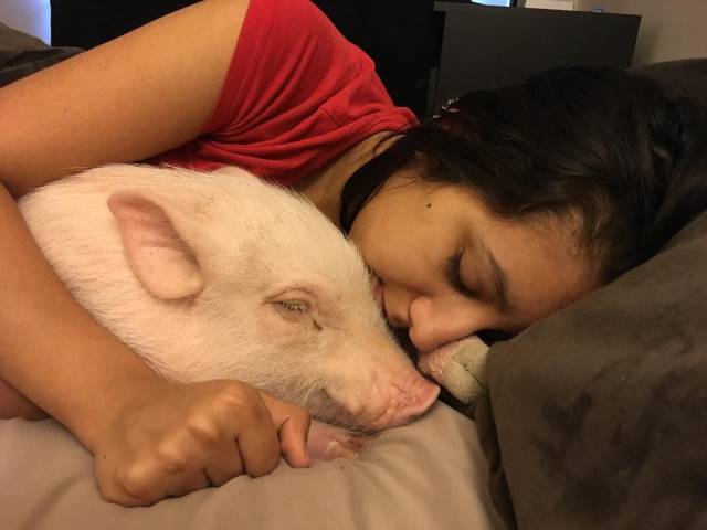 daily picdump 102 pics 49.html - 102 HD Photos | Premium Gallery 2017