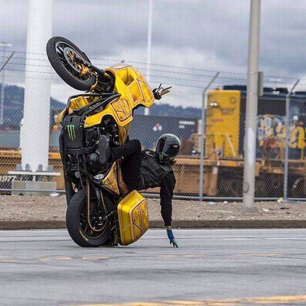 daily picdump 102 pics 49.html - 102 HD Photos | Premium Gallery 2017