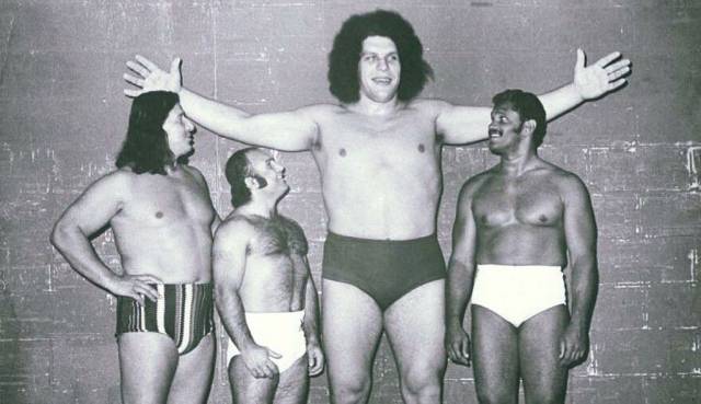 daily picdump 95 pics 12.html - 95 HD Photos | Premium Gallery 2017