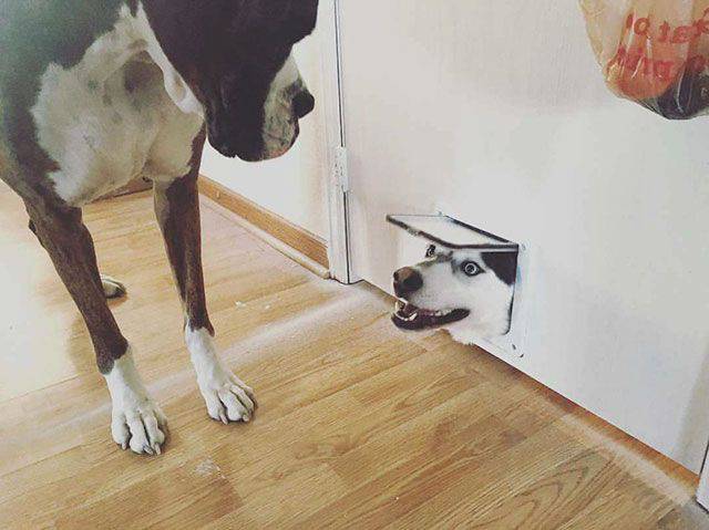 daily picdump 95 pics 12.html - 95 HD Photos | Premium Gallery 2017