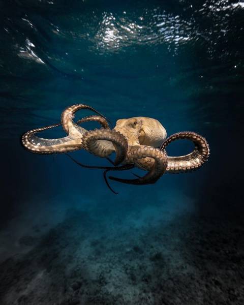 daily picdump 95 pics 12.html - 95 HD Photos | Premium Gallery 2017