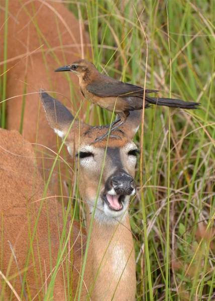 daily picdump 95 pics 12.html - 95 HD Photos | Premium Gallery 2017