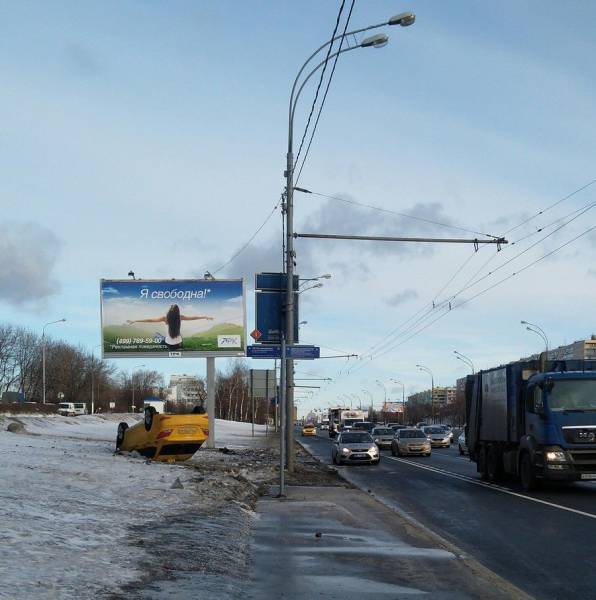 daily picdump 95 pics 12.html - 95 HD Photos | Premium Gallery 2017