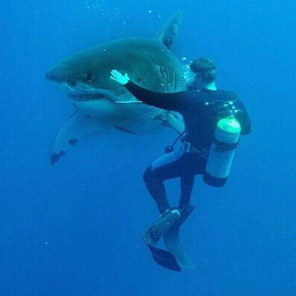 daily picdump 95 pics 12.html - 95 HD Photos | Premium Gallery 2017