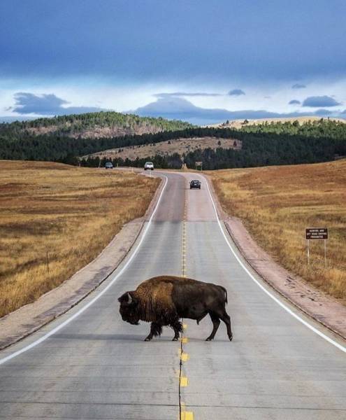 daily picdump 95 pics 12.html - 95 HD Photos | Premium Gallery 2017