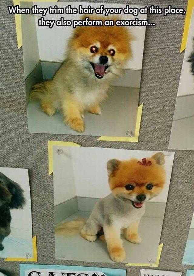 daily picdump 95 pics 12.html - 95 HD Photos | Premium Gallery 2017