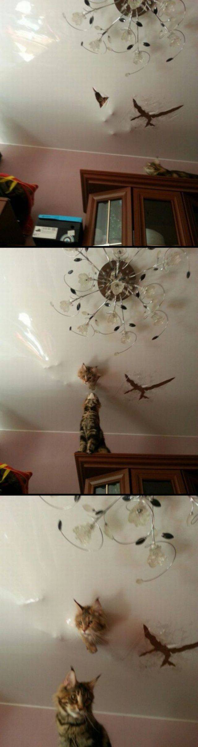 daily picdump 95 pics 12.html - 95 HD Photos | Premium Gallery 2017