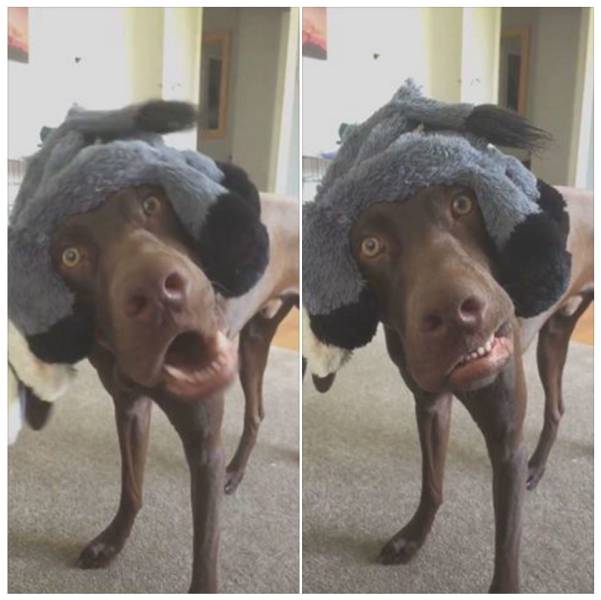 morning picdump 51 pics 12.html - 51 HD Photos | Premium Gallery 2017