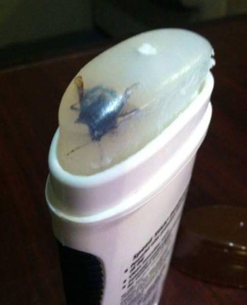 morning picdump 51 pics 12.html - 51 HD Photos | Premium Gallery 2017