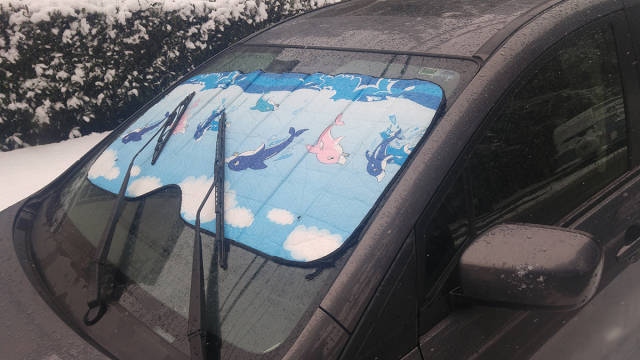 morning picdump 51 pics 12.html - 51 HD Photos | Premium Gallery 2017