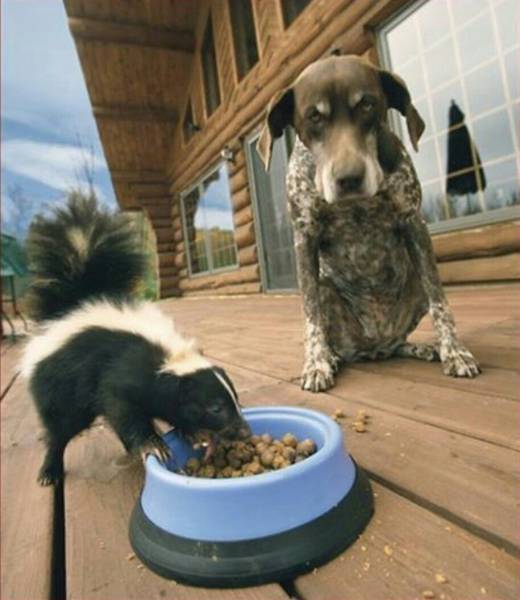 morning picdump 51 pics 12.html - 51 HD Photos | Premium Gallery 2017