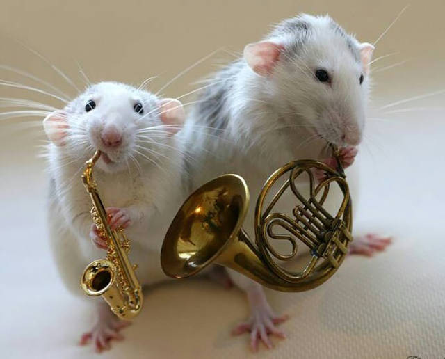 morning picdump 51 pics 12.html - 51 HD Photos | Premium Gallery 2017