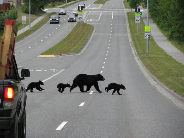 daily picdump 100 pics 32.html - 100 HD Photos | Premium Gallery 2017