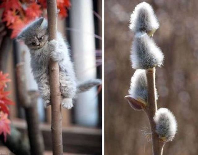 daily picdump 100 pics 32.html - 100 HD Photos | Premium Gallery 2017