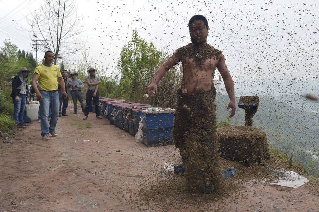 daily picdump 100 pics 32.html - 100 HD Photos | Premium Gallery 2017