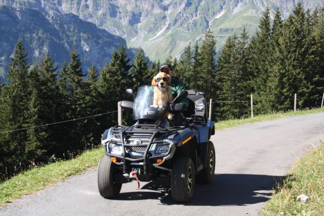 daily picdump 100 pics 32.html - 100 HD Photos | Premium Gallery 2017