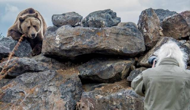 daily picdump 100 pics 32.html - 100 HD Photos | Premium Gallery 2017