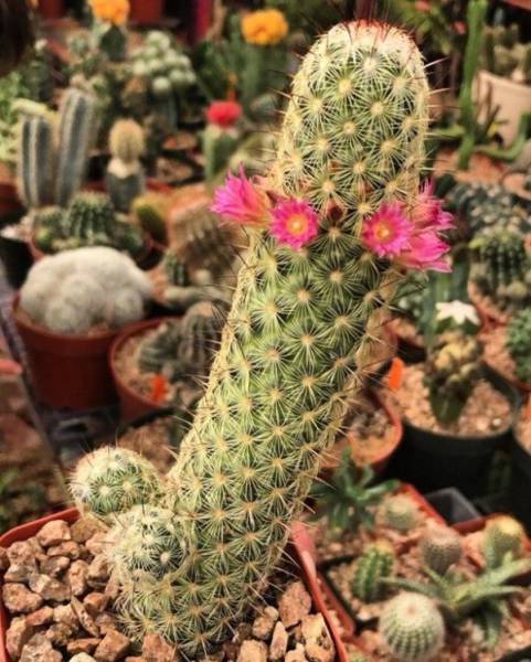 daily picdump 100 pics 32.html - 100 HD Photos | Premium Gallery 2017