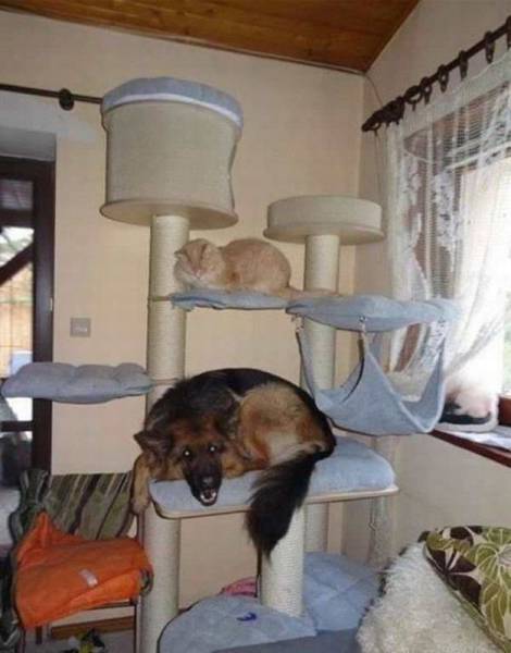 daily picdump 100 pics 32.html - 100 HD Photos | Premium Gallery 2017