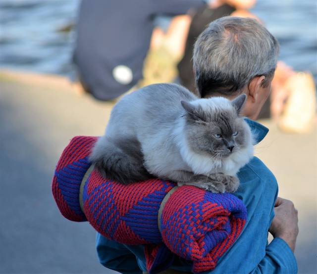 daily picdump 100 pics 32.html - 100 HD Photos | Premium Gallery 2017