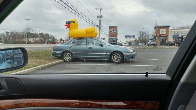 daily picdump 100 pics 32.html - 100 HD Photos | Premium Gallery 2017