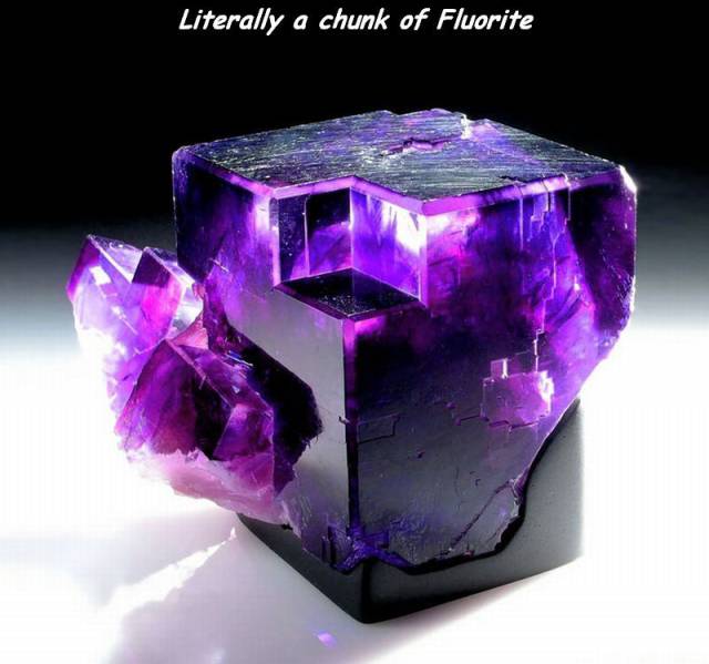 daily picdump 100 pics 32.html - 100 HD Photos | Premium Gallery 2017