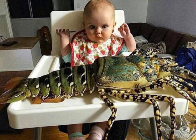 daily picdump 100 pics 32.html - 100 HD Photos | Premium Gallery 2017