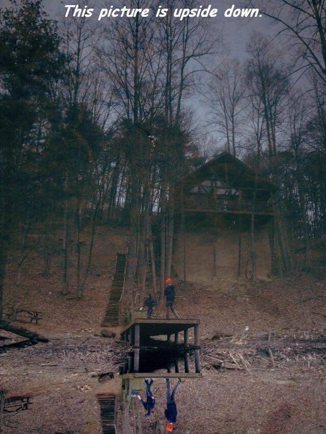 daily picdump 100 pics 32.html - 100 HD Photos | Premium Gallery 2017